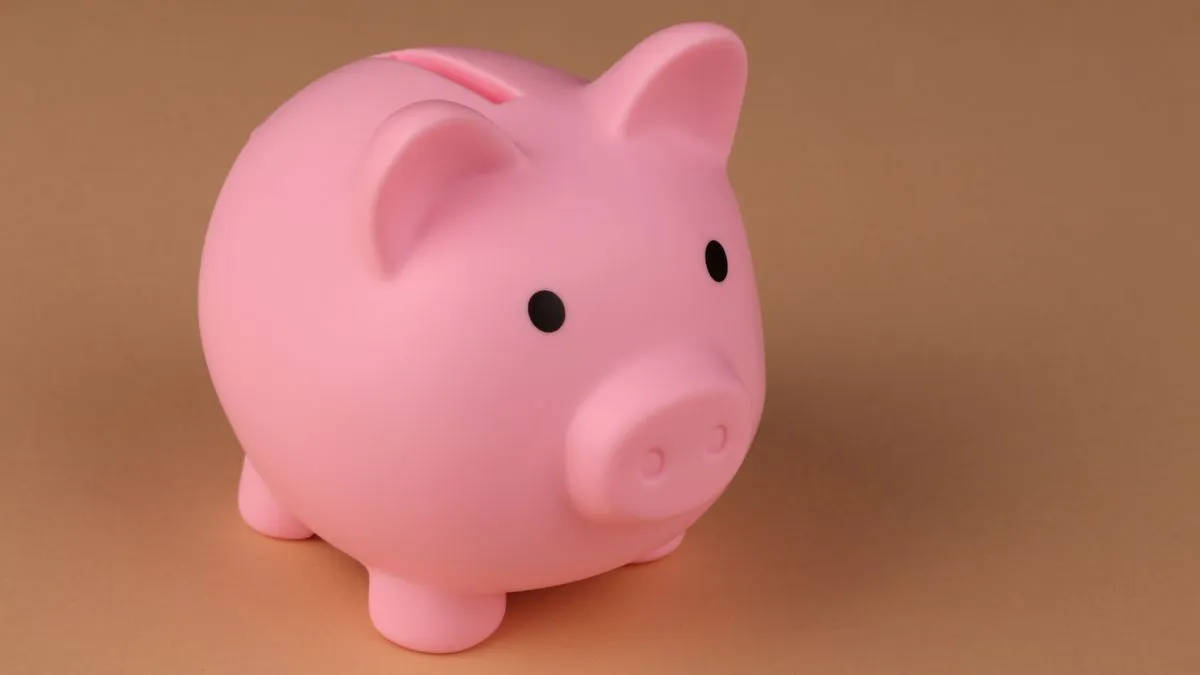 Piggy bank representing the choice between savings and borrowing money in Canada